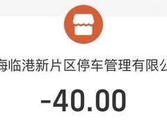 -春花秋色城市公园