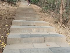 -杭州半山国家森林公园