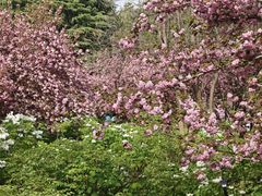 -洛阳市隋唐城遗址植物园