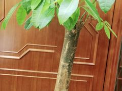 -金时代顺风大酒店(金山店)