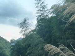 -将军关探险漂流