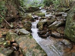 -江西阳明山国家森林公园