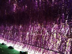 -绿野森林乐园冰雪季