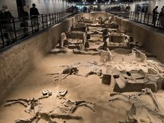 -洛阳周王城天子驾六博物馆