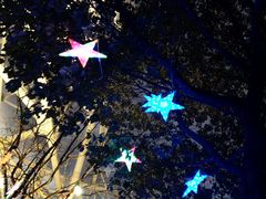 -锦江乐园舞狸花花游园会(夜场专享)
