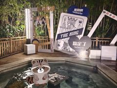 -天目湖涵田半山温泉