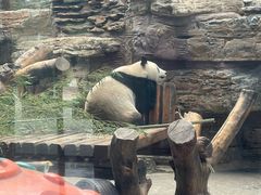 -石家庄市动物园