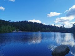 -五营红松林海景区