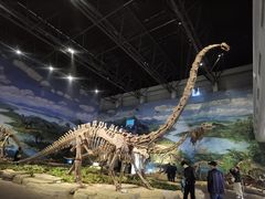 -自贡恐龙博物馆