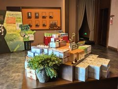 -端艾堂·SPA·艾灸(棕榈泉013店)