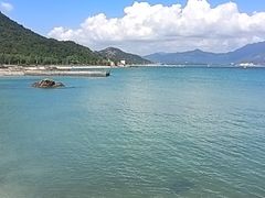 -杨梅坑