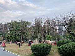 -四海公园(南山区)