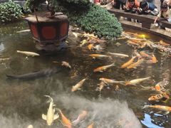 -唐山宴大唐州府精品中餐