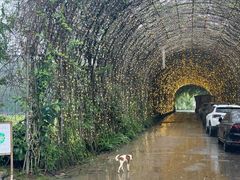 -三圣花乡旅游区