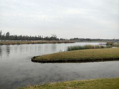 -春花秋色城市公园