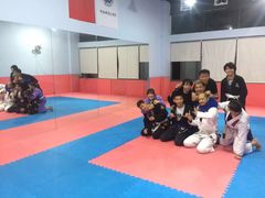 -金翼跆拳道巴西柔术拳击格斗学院