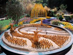 -深圳仙湖植物园