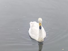 -沈阳森林动物园