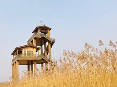 -野鸭湖国家湿地公园