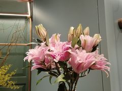 -南堂馆·新川菜(春熙路店)