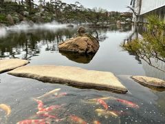 -罗红摄影艺术馆