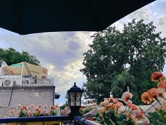 -Sirena海妖日咖夜酒