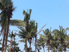 -白沙门生态公园