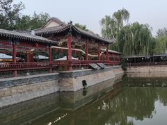 -尚庄度假村·庭台树下·户外烧烤·团建CS·轰趴营地(上庄水库店)