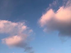 -海底捞火锅(高新活力汇店)