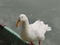 -团结湖公园