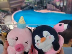 -珠海长隆海洋王国