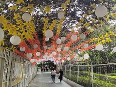 -光明农场大观园