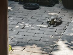 -创艺无限·赵春香微妙艺术馆