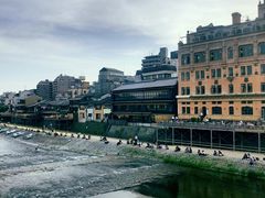 -四条大桥