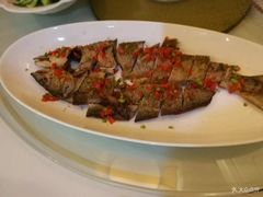 -蓝天宾馆·融合菜·宴席(解放大道店)