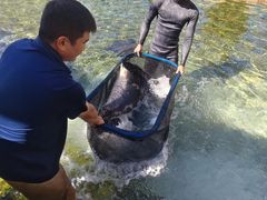 -重庆海昌加勒比海水世界