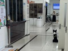 -派美特宠物医院·核磁CT·骨科肿瘤·疑难转诊(沈农禾丰店)