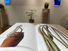 -茑屋书店(天目里店)