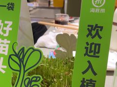 -海底捞火锅(丰尚国际广场店)