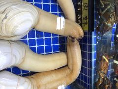 -板桥海鲜广场(文明东店)