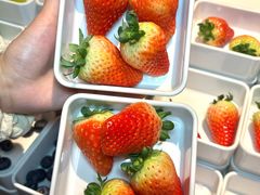 -碧涛阁·泡泡海洋·汤泉洗浴(王府花园店)