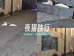 -猫岛主趣味餐厅(鼓浪屿店)