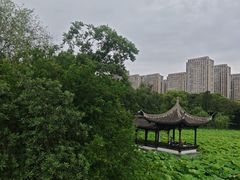 -高子水居