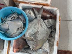 -鸿港海鲜批发市场