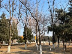 -青龙湖公园