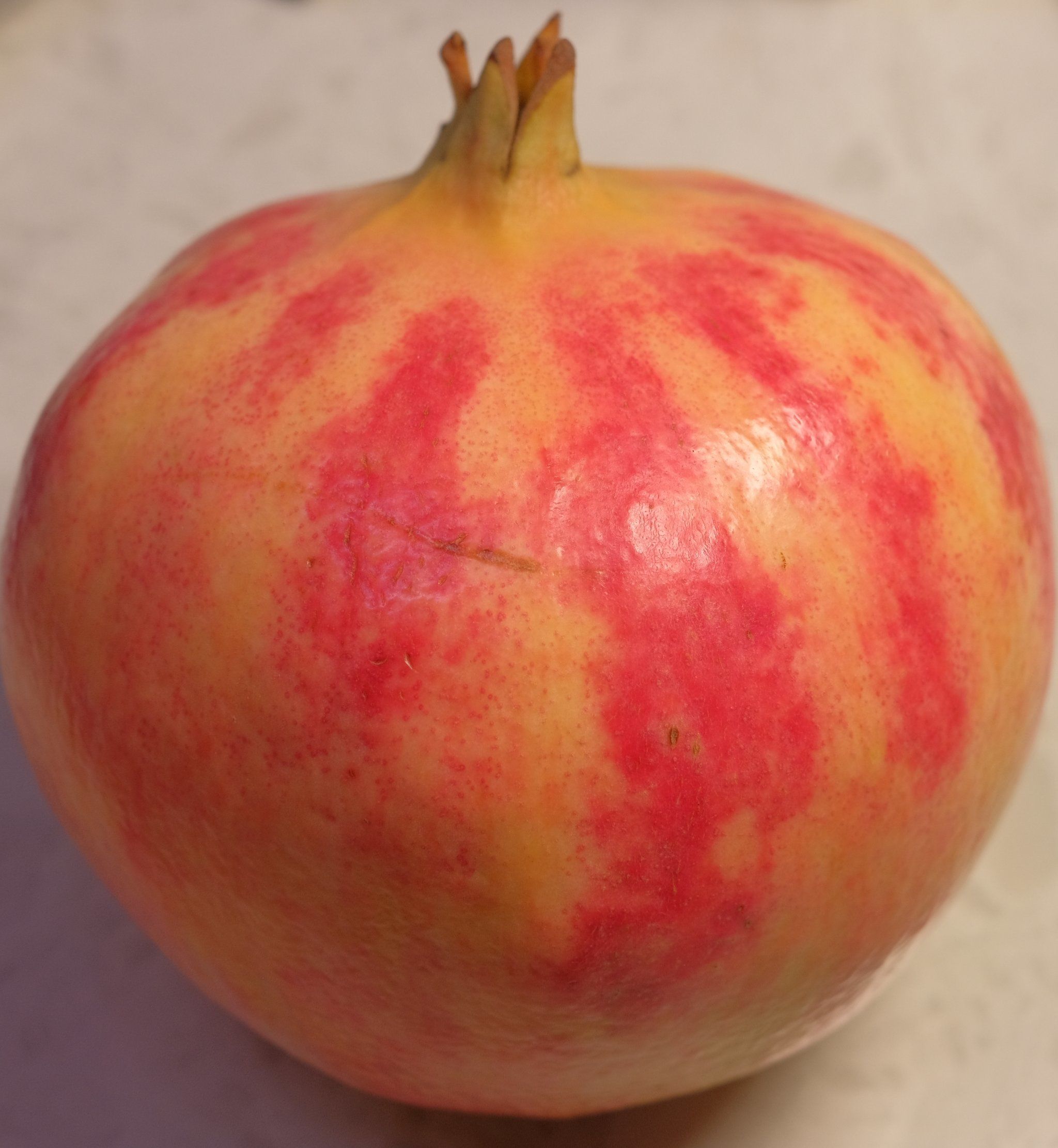 四川会理软籽石榴,不愧是唐朝时期即为皇帝贡品