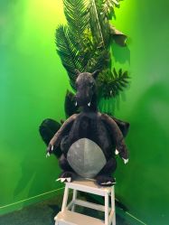 -恐龙探索乐园(磁器口店)