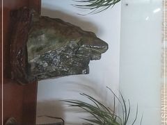 -良友书坊(安徽路店)