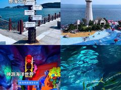 -幸福门