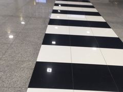 -谢列梅捷沃国际机场